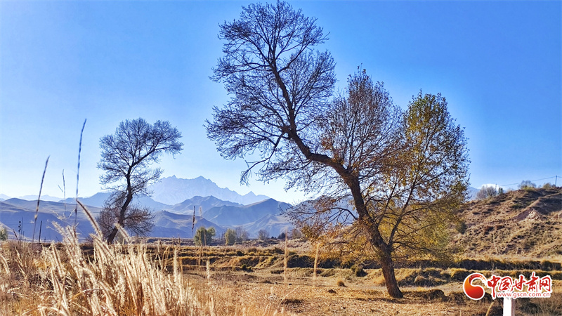隴拍客丨初冬祁連景如畫(huà)